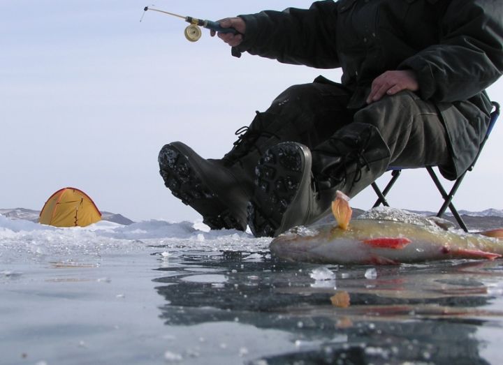 Любителей зимней рыбалки призывают быть разумными