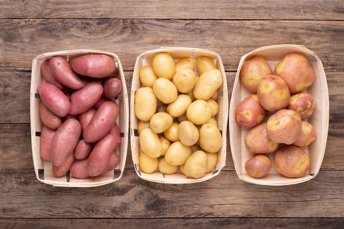 Какие сорта картошки посадить в 2023 году