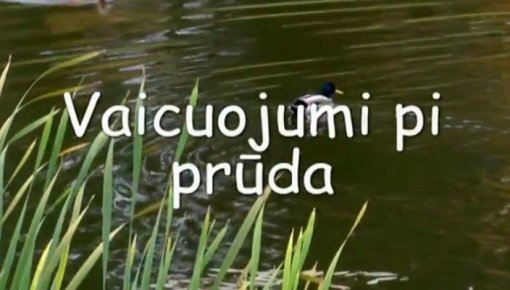  "Vaicuojumu pi prūda" ()