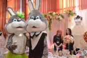 Wedding EXPO-2018:   