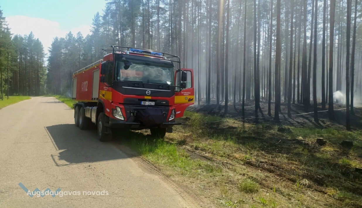 В Ликсненской волости умышленно подожгли лес